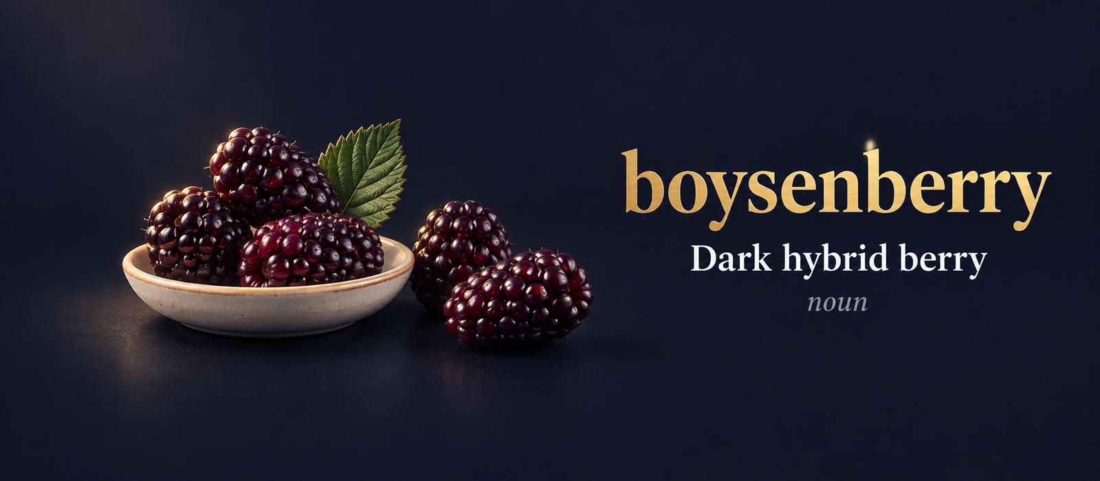 صورة توضيحية لمعنى كلمة Boysenberry (توت بويزن)